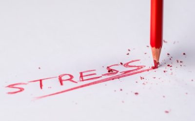 Warum Stress und Cortisol den Fettabbau hemmen